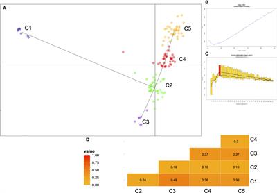 Phenotypic evolution in durum wheat (Triticum durum Desf.) based on SNPs, morphological traits, UPOV descriptors and kernel-related traits